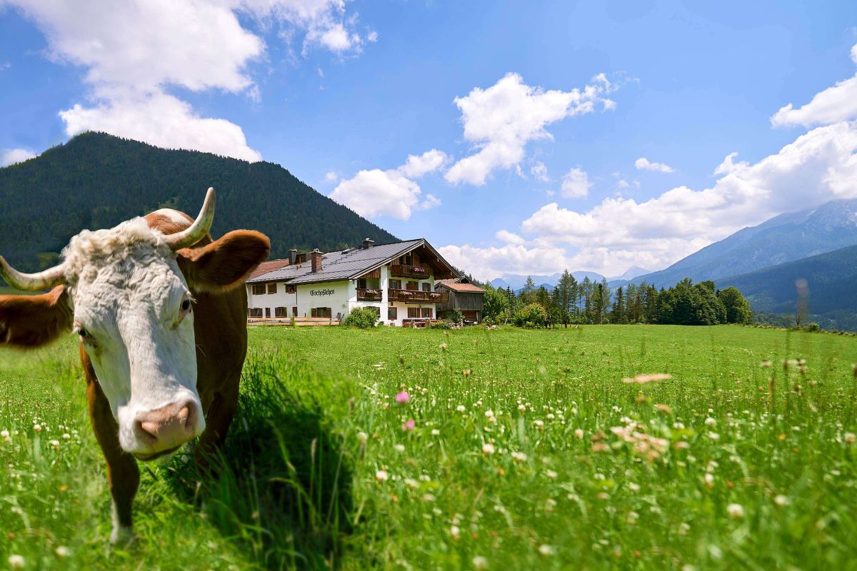Rechnungsvordrucke Briefpapier
