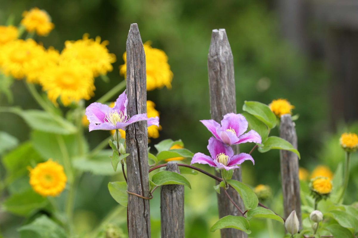 Banner und Beschriftungen