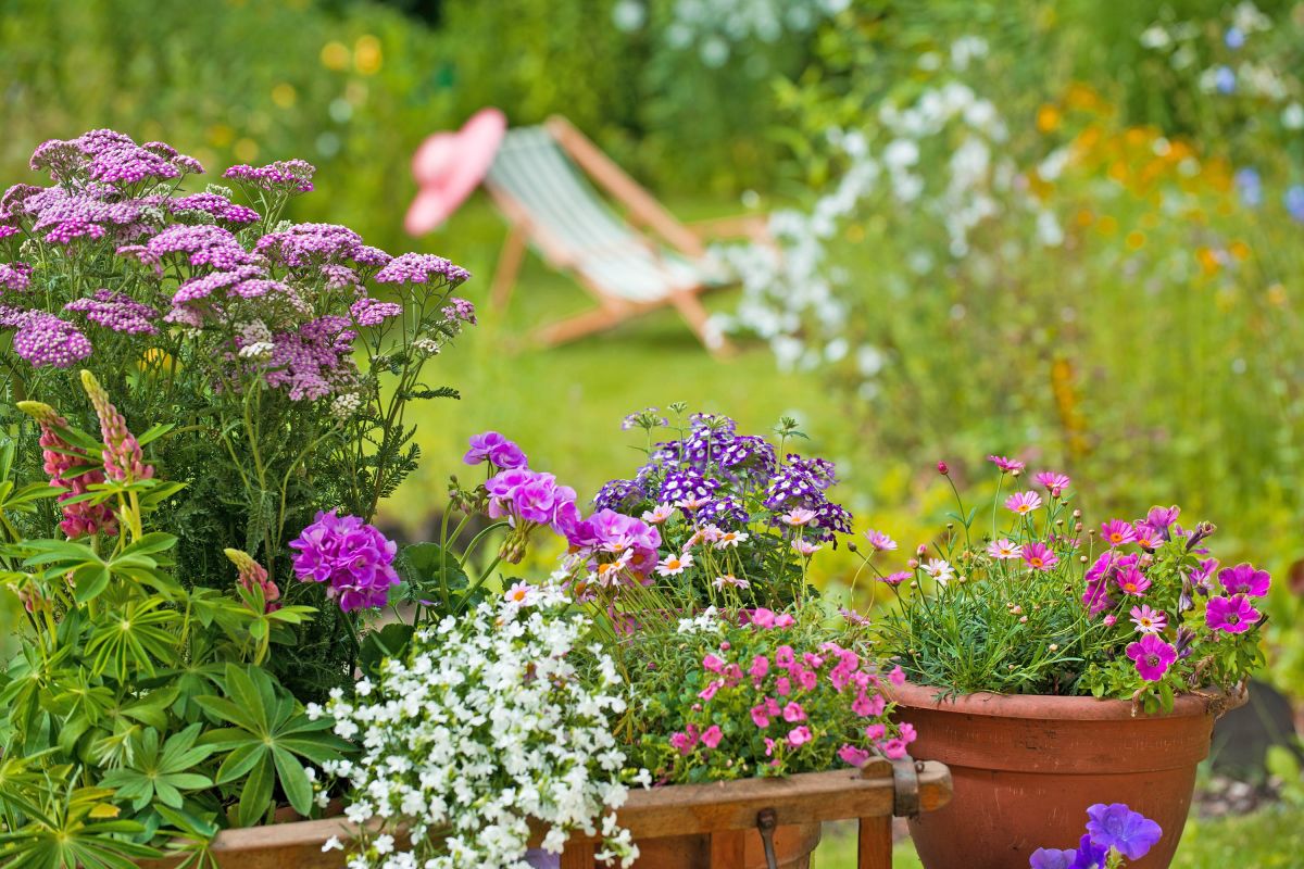 Banner und Beschriftungen