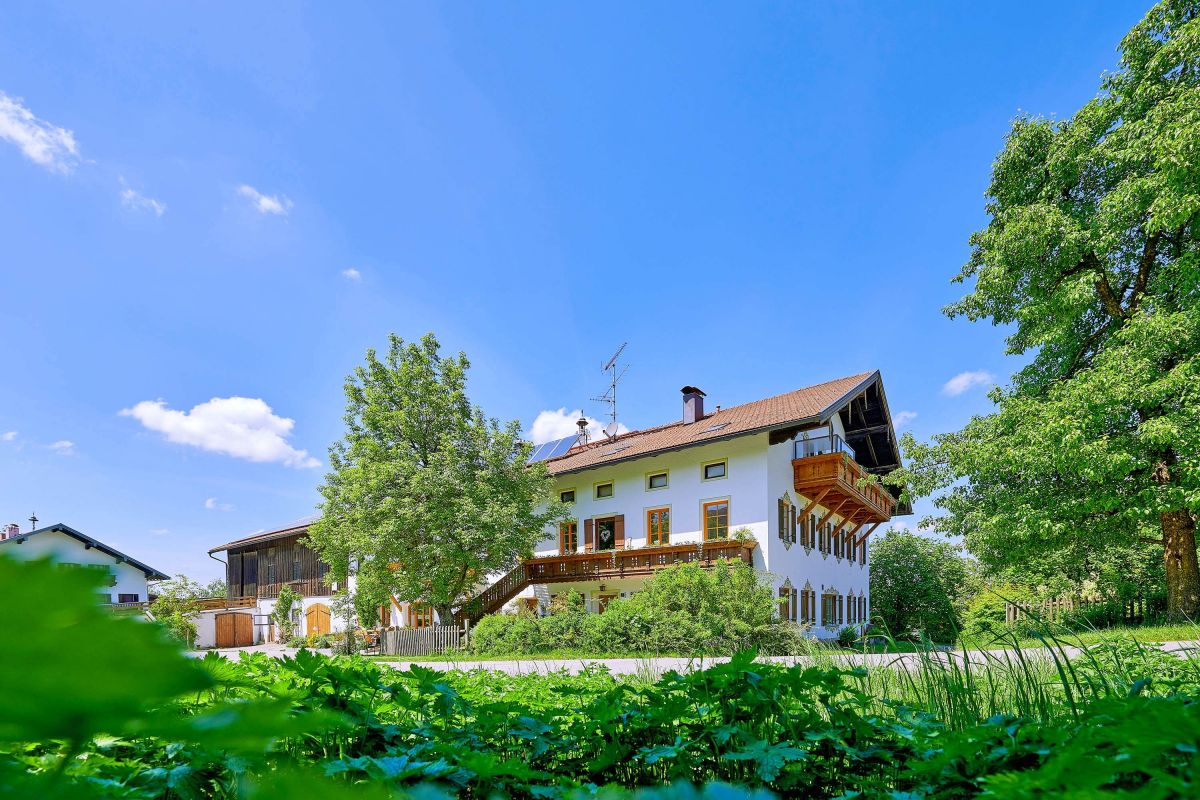 Naturfotografie Bilder